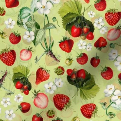 10" Antique Watercolor Strawberry Flower Meadow- Vintage Strawberries on spring green Fabric Double layer