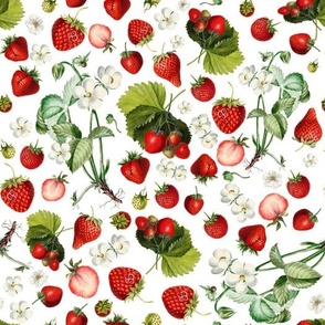 10" Antique Watercolor Strawberry Flower Meadow- Vintage Strawberries on nostalgic white Fabric