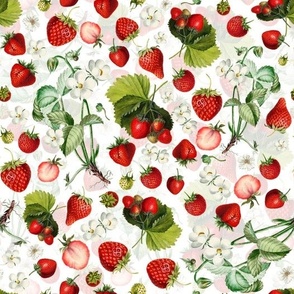 10" Antique Watercolor Strawberry Flower Meadow- Vintage Strawberries on white Fabric Double layer