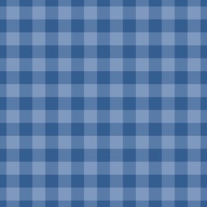 Gingham Pattern - Dusty Blue and Lapis Blue