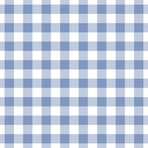Gingham Pattern - Dusty Blue and White