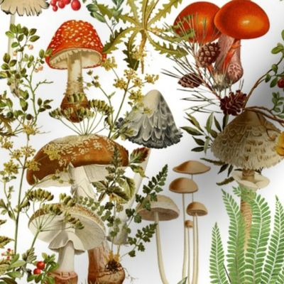 toxic mushrooms in the forest on white- Antique Psychadelic  Mushroom Wallpaper fabric,mushrooms fabric white