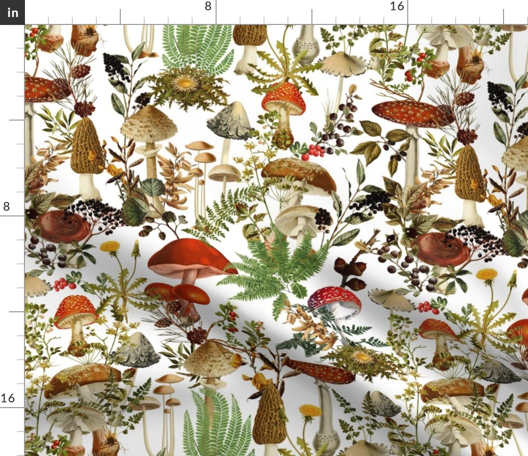 toxic mushrooms in the forest on white- Antique Psychadelic  Mushroom Wallpaper fabric,mushrooms fabric white