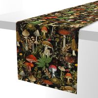 nostalgic toxic antiqued mushrooms in the forest on dark moody florals black-vintage Autumn home decor, antique wallpaper, Antique mushroom fabric,mushrooms fabric black - Psychadelic  Mushroom Wallpaper