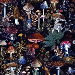 toxic mushroom in the dark academia  forest on black- Antique Psychadelic  Mushroom Wallpaper,mushrooms fabric - moonlight