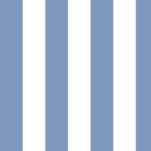 Large Vertical Awning Stripe Pattern - Dusty Blue and White