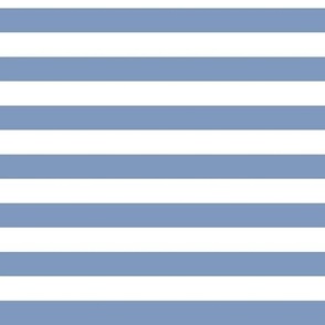 Horizontal Awning Stripe Pattern - Dusty Blue and White