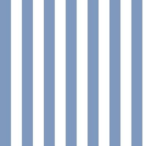 Vertical Awning Stripe Pattern - Dusty Blue and White