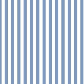 Vertical Bengal Stripe Pattern - Dusty Blue and White