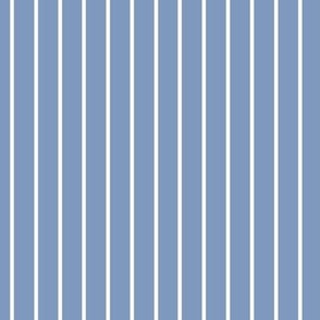 Vertical Pin Stripe Pattern - Dusty Blue and White