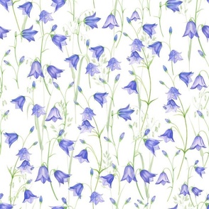 14" bluebell meadow - bellflower meadow-campanula meadow - blue wild flowers meadow 