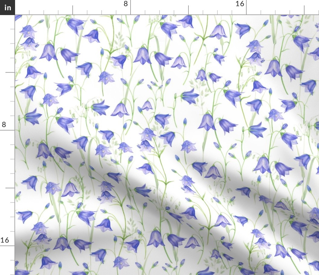14" bluebell meadow - bellflower meadow-campanula meadow - blue wild flowers meadow 