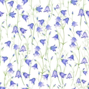 10" bluebell meadow - bellflower meadow-campanula meadow - blue wild flowers meadow 