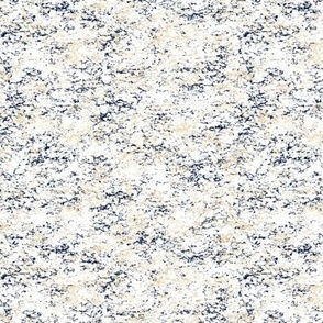 Sand and Midnight Blue Stone Texture