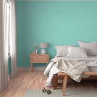 Mint blue green light solid matching color for Oksancia fabrics