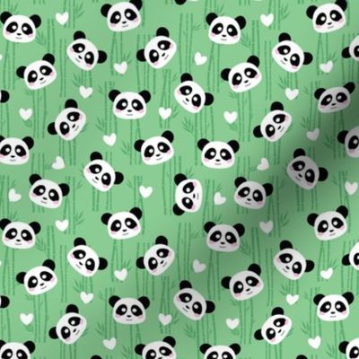 Kawai Panda with bamboo - S