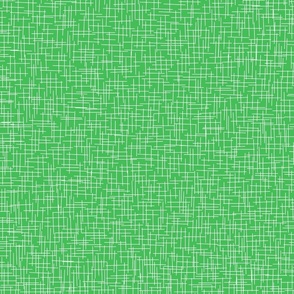 Fine White Line Texture on Grass Green