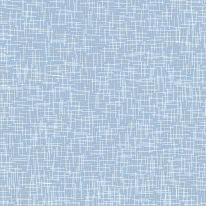 Fine White Line Texture on Sky Blue