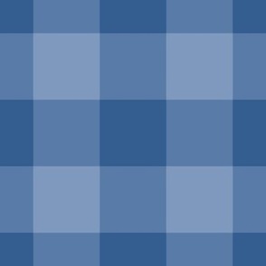 Jumbo Gingham Pattern - Dusty Blue and Lapis Blue
