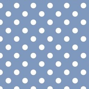Polka Dot Pattern - Dusty Blue and White