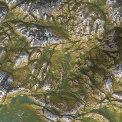 Map Terrain - Alien World