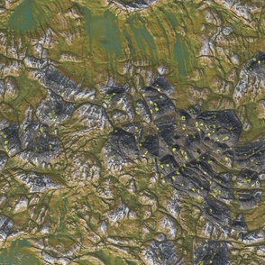 Map Terrain - Alien World