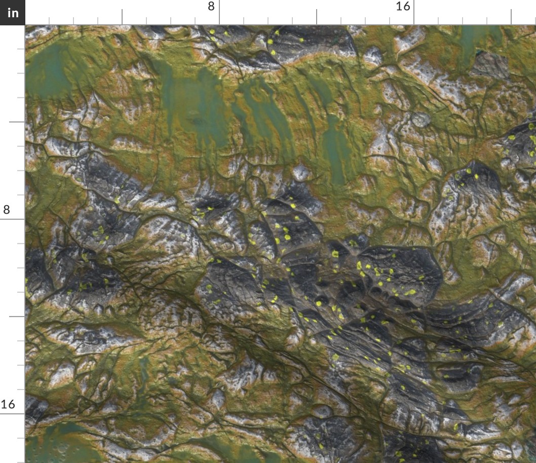 Map Terrain - Alien World