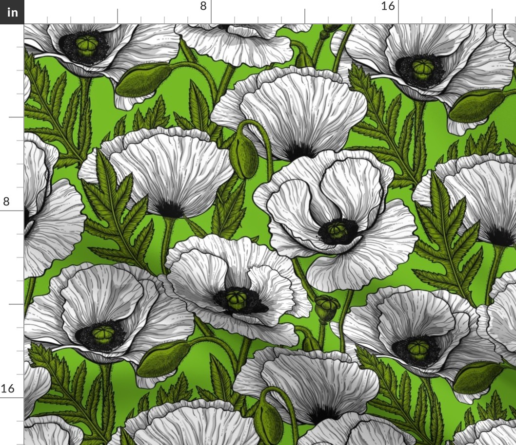 White poppies on green