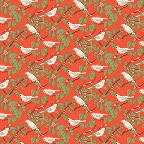 Winter Birds and Holly on Red (small)