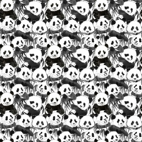 Comeback Pandas in Black and White (small scale) 6x6