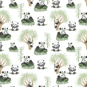 The Pandas Are Back