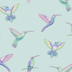 Hummingbirds  seaglasses