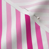 Hot Pink Barbiecore Diagonal Ombre Stripes