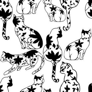 Black and White Cats and Floral Vines 