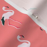 flamingos, dark pink, small scale