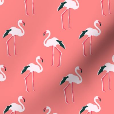 flamingos, dark pink, small scale