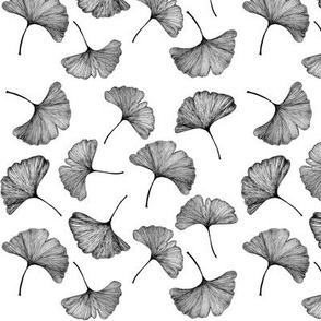 Ginkgo Leaf Black and White 