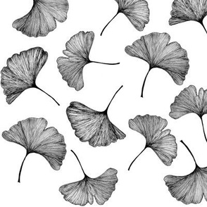Ginkgo Leaf Black and White Large Scale