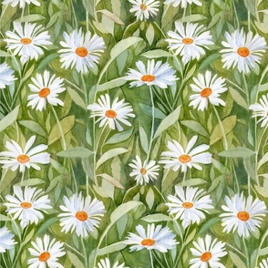 Watercolour daisies