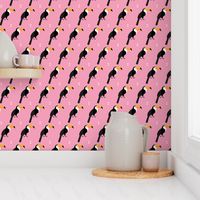 Toucans on pink