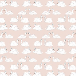 Sketchy swans Baby PINK