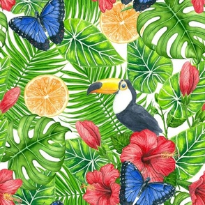 Tropical pattern- palm leaves, hibiscus flowers, toucan birds, tangerines and blue morpho butterflies