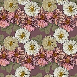 Pink and Cream Neutral Zinnia Flowers on Mauve