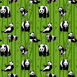 Giant panda pattern