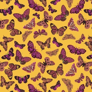 butterfly - yellow
