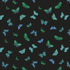 butterfly - green and blue - small