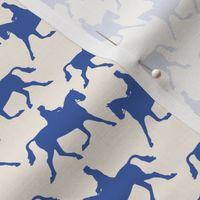 horse-riding - blue and white