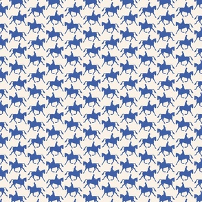 horse-riding - blue and white