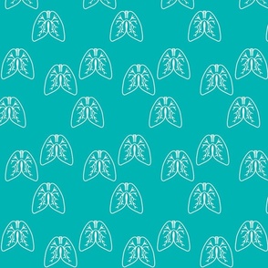 Lungs 