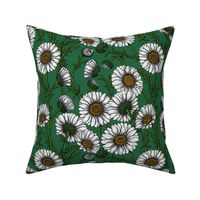 Daisies on emerald green